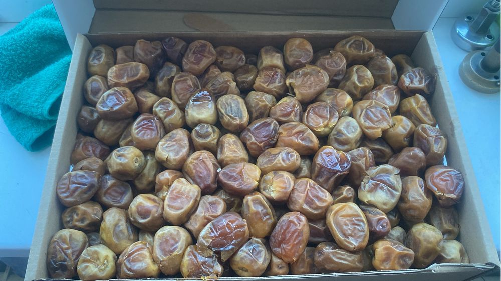 Продам финики суккари из КСА