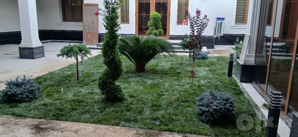 gazon.lanshaft.archa.kesish.xizmati.bor.