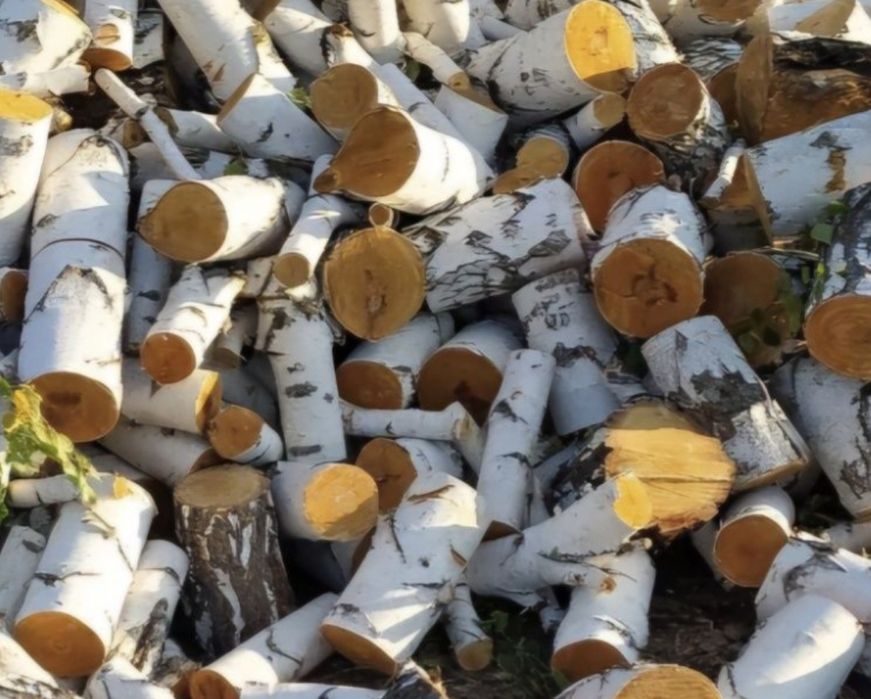 Береза мешками кубами