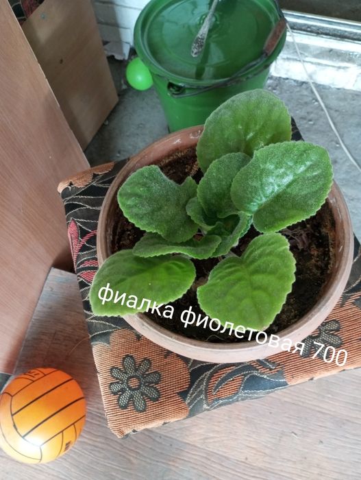 Продам или обменяю