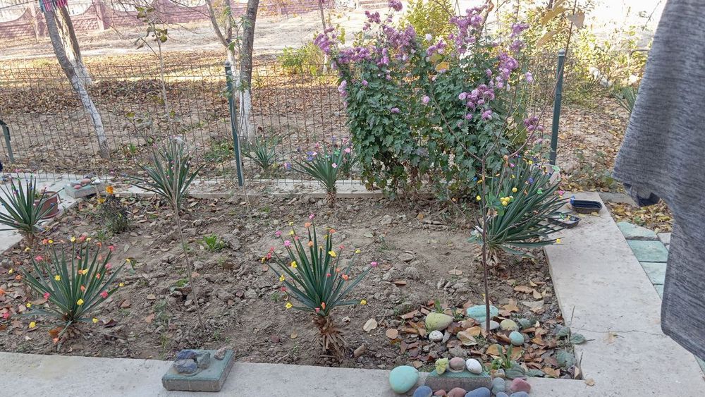 Своя 1/1/2, Татарский поворот