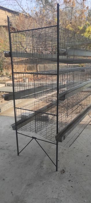 Клети для кур несушек