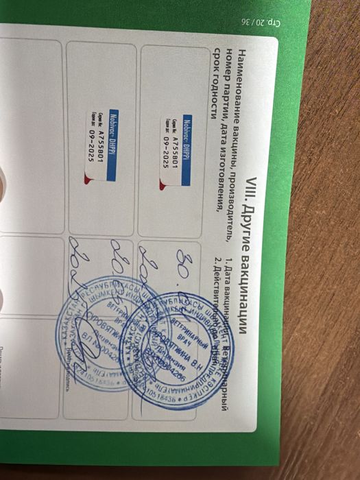 Нужна самка хаски