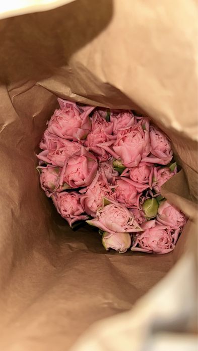 Оптом тюльпаны местные