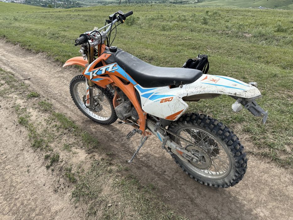 King Gold 250 оранжевый