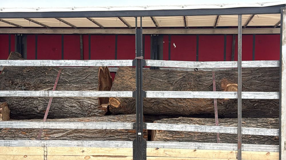 Продам Лес КАРАГАЧ