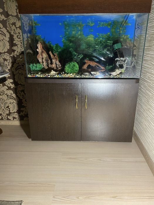 Аквариум,б у,140 литров,со всеми декорациями