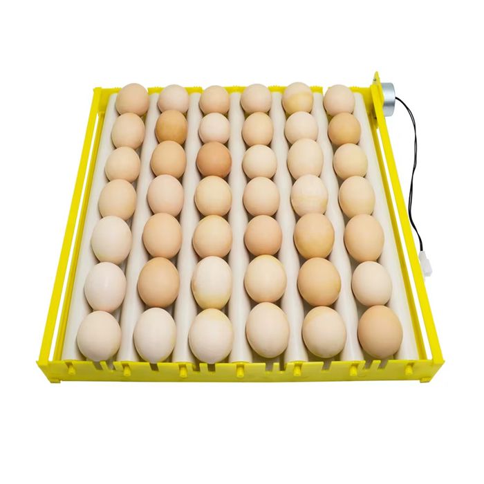 Инкубатор 56 тали