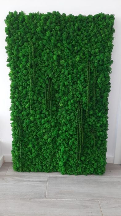 Decor licheni 30x200cm, 60x100cm