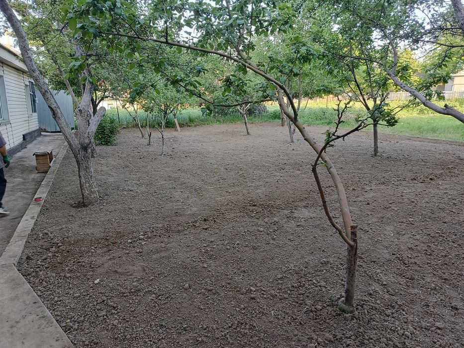 Поссев газона и Клевер