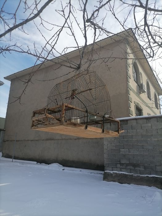 Клетка для сава срочно