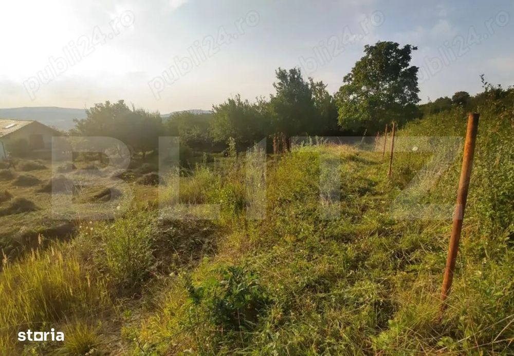Teren intravilan de 15 ari – Valea Jelnei, str. Campului