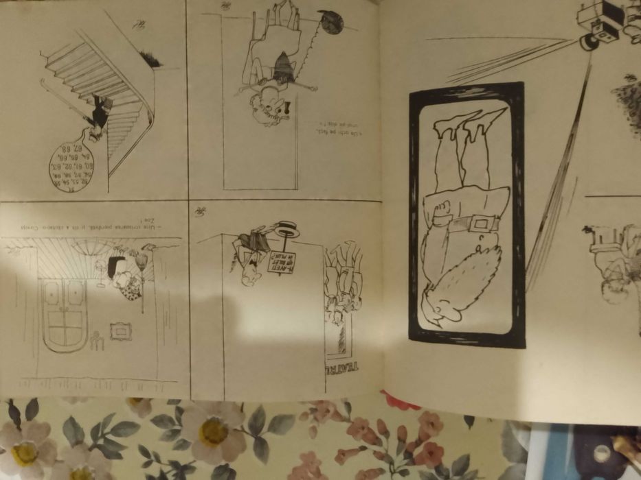 Din haz in haz . O culegere de caricaturi