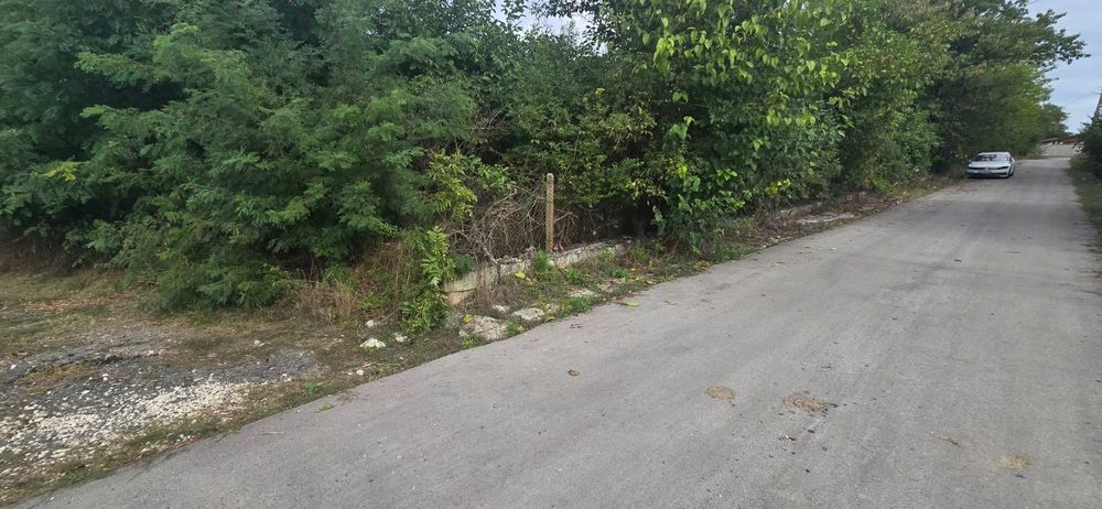 Продава се Къща в с. Полковник Иваново, Област Добрич - 60 кв.м за 281 €/кв.м - Снимка #1