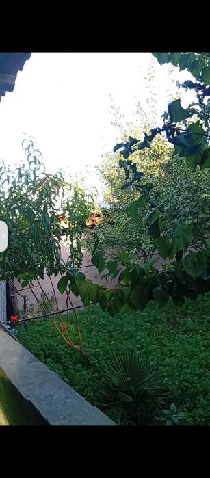 Turar joy honadon sotiladi