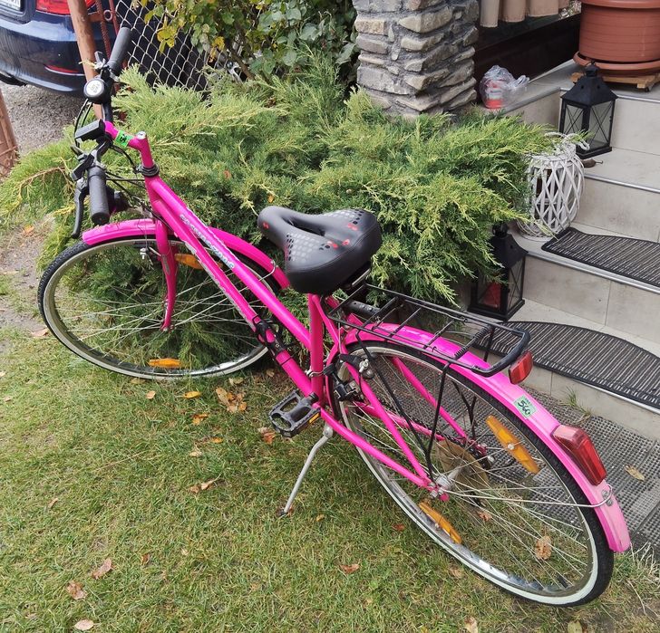 Bicicleta treking damă /adulți/fete /femei Taifun cosmos 700 c