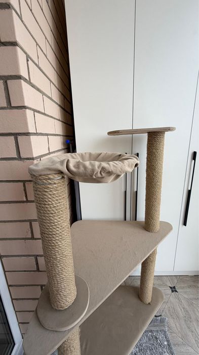 Когтеточка большой