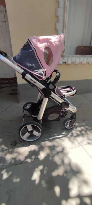 OVO brevi Italiya 2 tasi birda