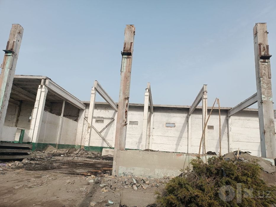 Бокис куриб берамиз