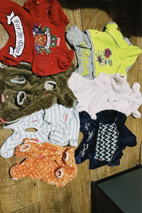 Продам вещи для собак маленьких пород