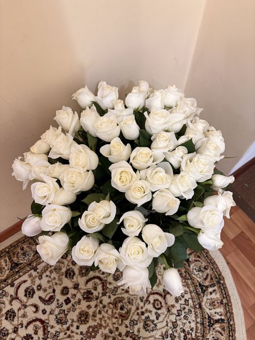 Белые свежие розы 51шт