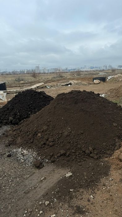 Перегной , Чернозём