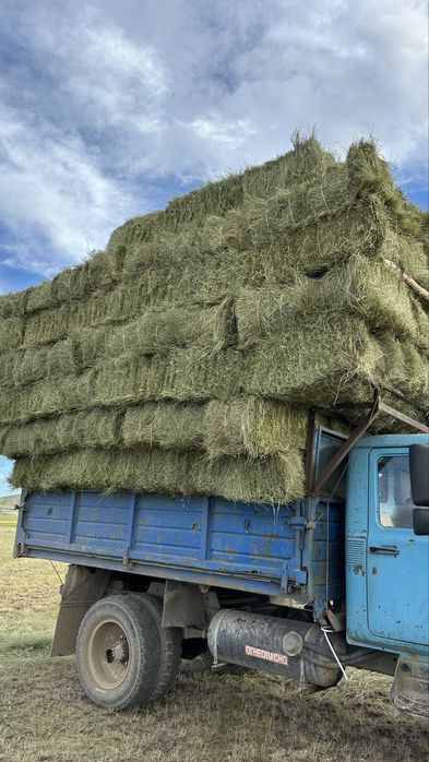Продаю Сено, шөп сатылады