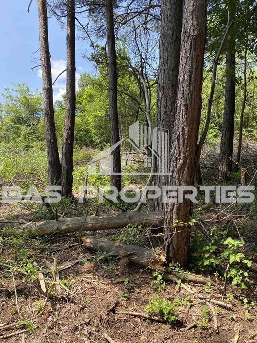 Продава се Парцел в София, в.з. Горна баня - 1747 кв.м за 67 €/кв.м - Снимка #3