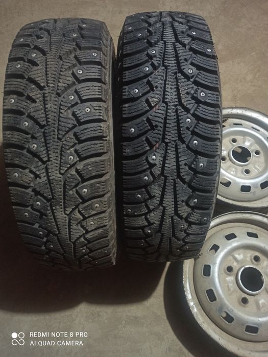 Балон шиповий зимний