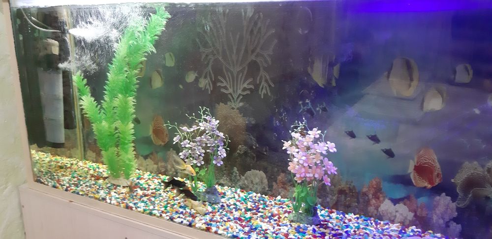 Аквариум 600 литров