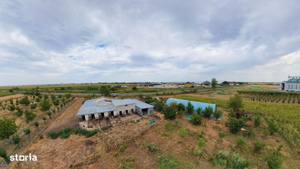Livadă de 3,6 hectare în Iratoșu – Oportunitate