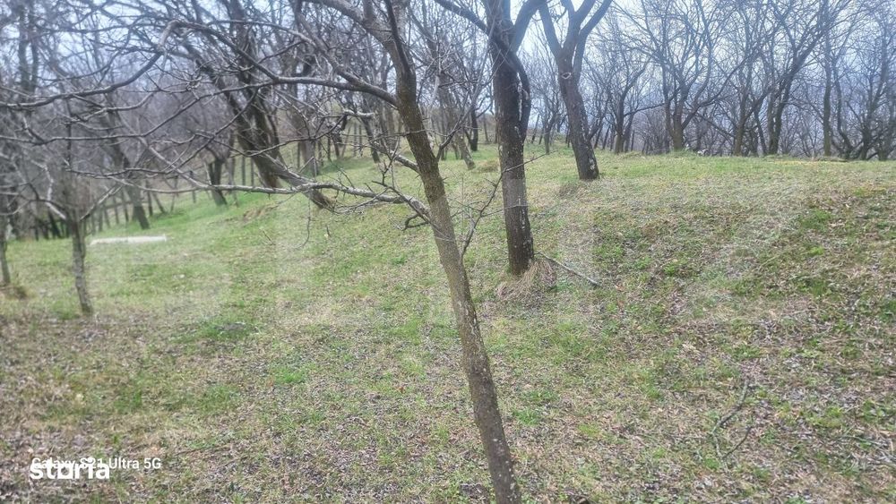 Teren Intravilan Vedere Panoramica 3781 Mp  La 2 Km De Manastirea Cras