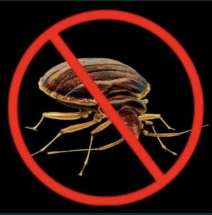 Термиты, клопы, тараканы