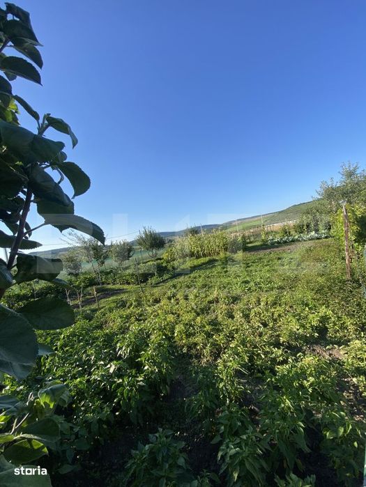 Teren de vanzare, 8 arii la 10 minute de Bistrita