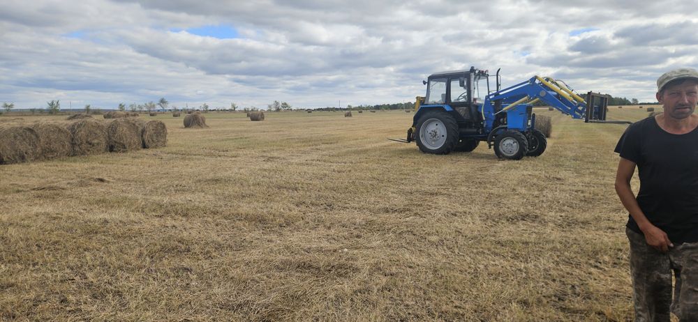 Продам сено в рулонах