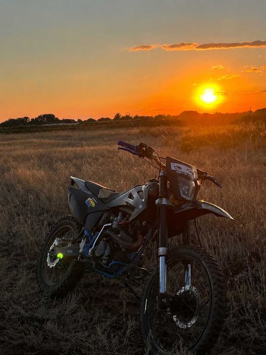 Прогаси пальма 250