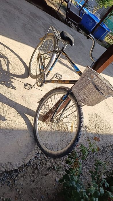 1жыл болд алганыма