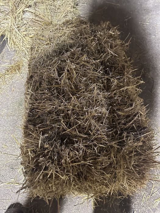 Солома ячменная пшеничная