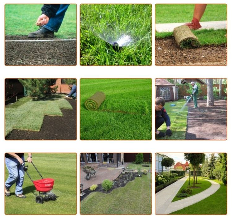 Комплексный уход за газоном и хвойными.