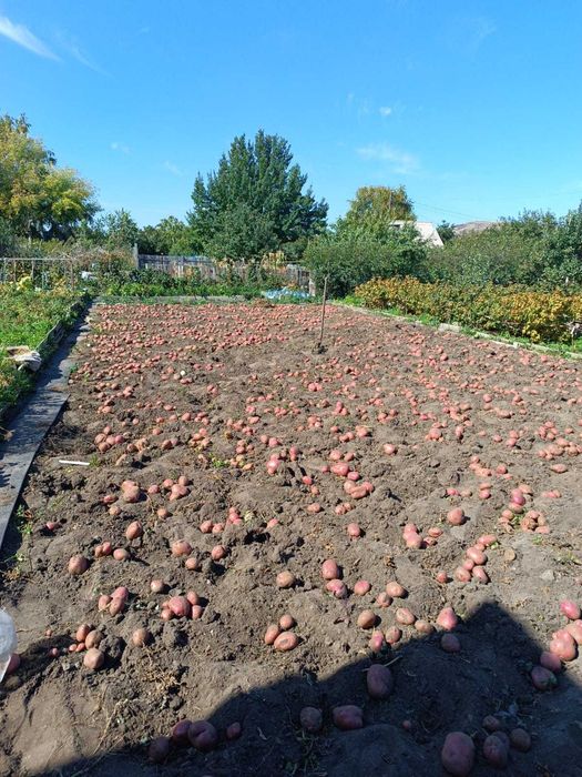 Продается дача 6 соток