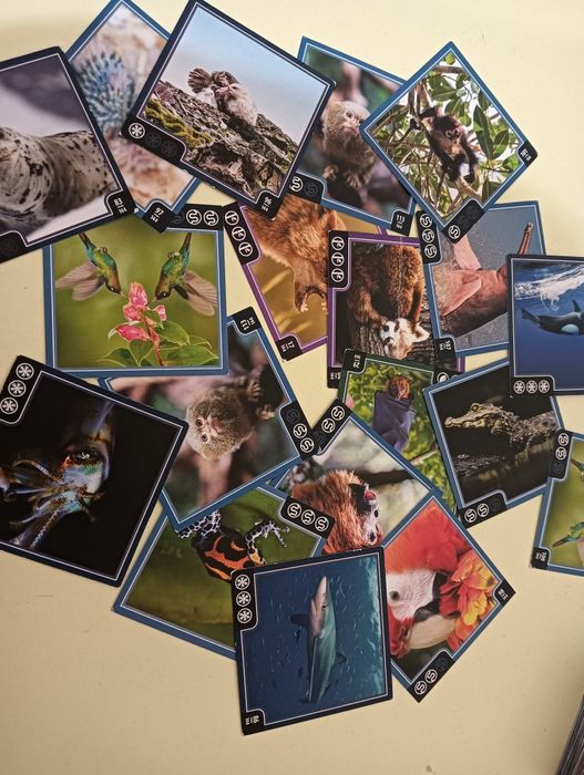 vand cartonase cubul animalelor salbatice