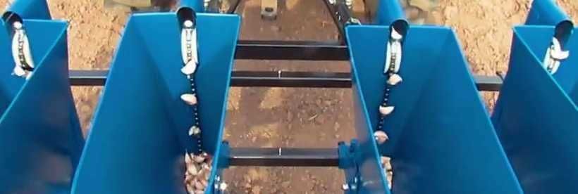 Semanatoare 6 randuri Tractor pentru usturoi si arpagic ceapa bulbi