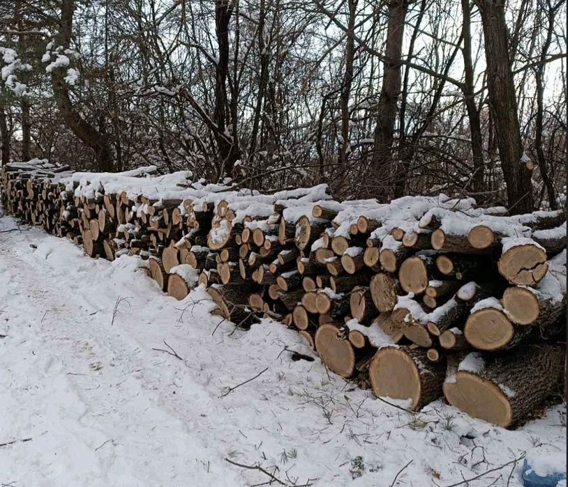 Дърва  за  огрев