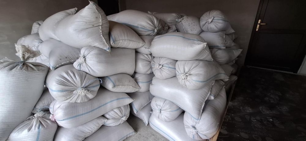 Vând porumb și grâu