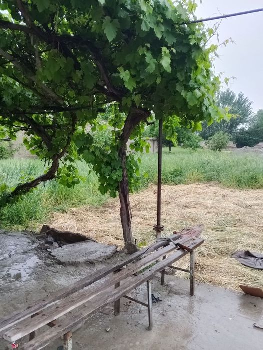 Uy joy sotiladi narx kelishiladi