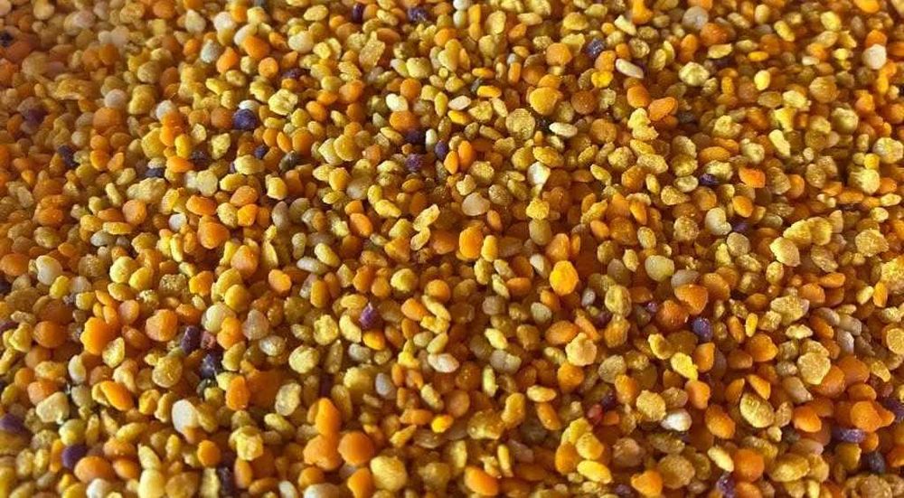 Vând miere de albine naturală din zonă de munte