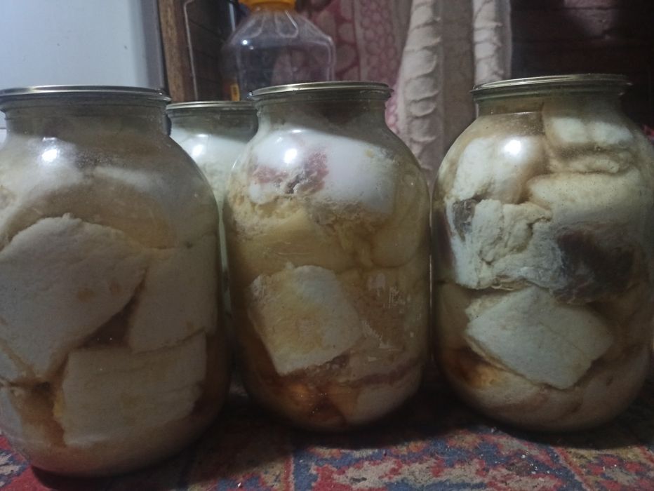 Продам соленое сало в рассоле