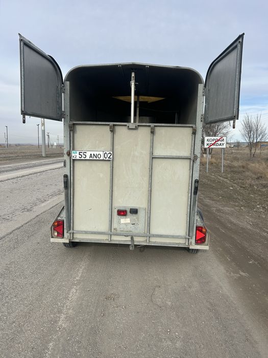 Коневозка букман