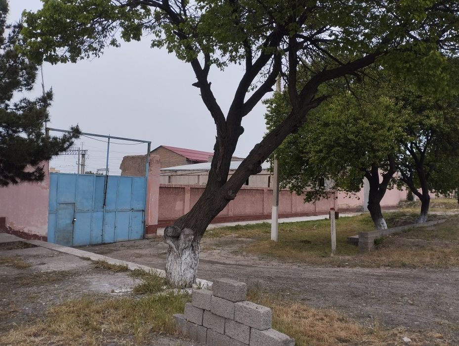 Аренда берамиз блок цех