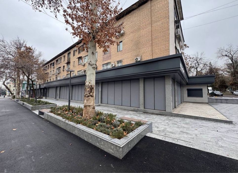 Ц-2 Вдоль дороги, под Автосалон, Шоурум, фасад 45 м, высокие потолки